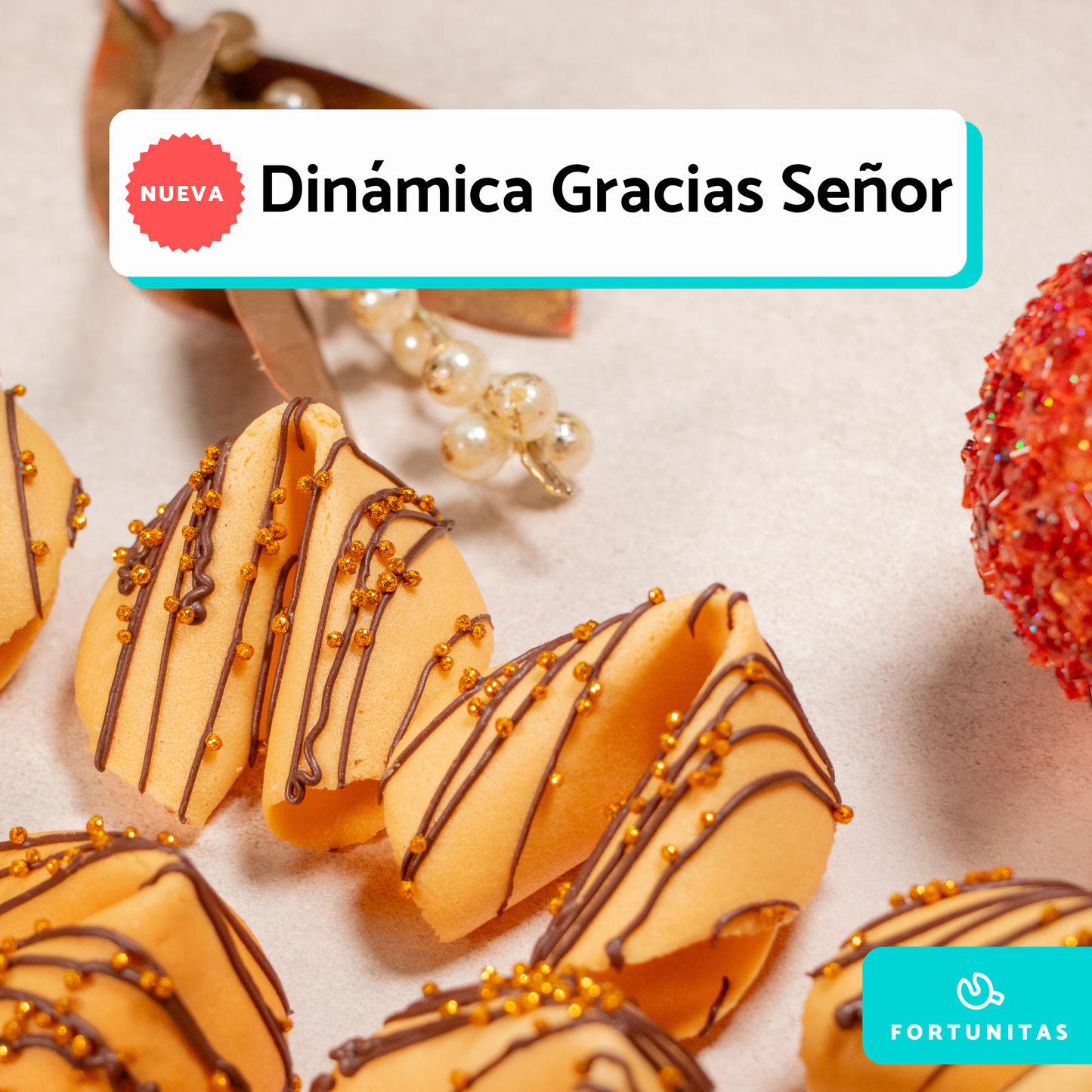 Dinámica Gracias Señor